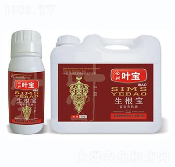 生根寶（5公斤）-寶葉植物