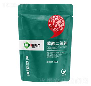 ��������-��СѾ-�_(k��i)������