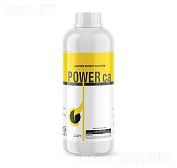 Power ca-�ָ���