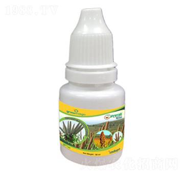 Prerak Millet-�ָ���