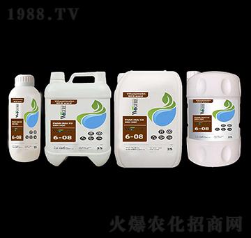 ø��ך���6-08-�ָ���