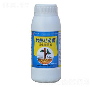 ��������-��������