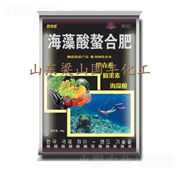 4kg���������Ϸ�-��(gu��)�S�ʘI(y��)