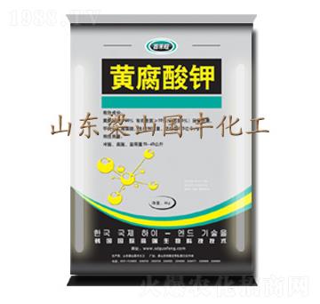 4kg�S�����-���S�ʘI(y��)