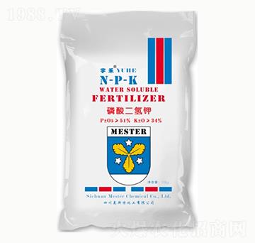 �����������-㑝�����