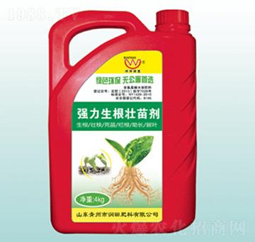 Ͱ�b�����������焩-�������