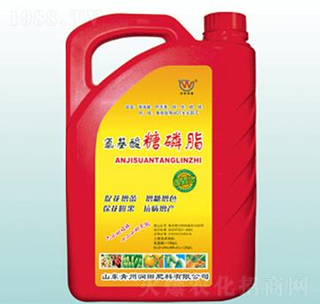 ����������֬-�������