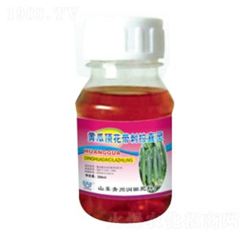 �S��픻�������ֱ�`-��(r��n)