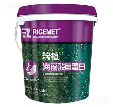 海藻酸魚(yú)蛋白-瑞植-瑞閣邁特