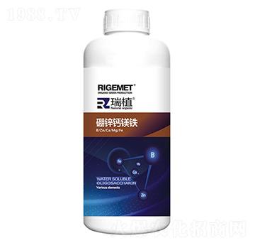 硼鋅鈣鎂鐵-瑞植-瑞閣邁特