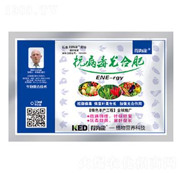 ��������Ϸ�-�ú���-������