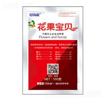 ������ؐ-�ú���-������