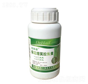 �������v���L��-�ú���-������