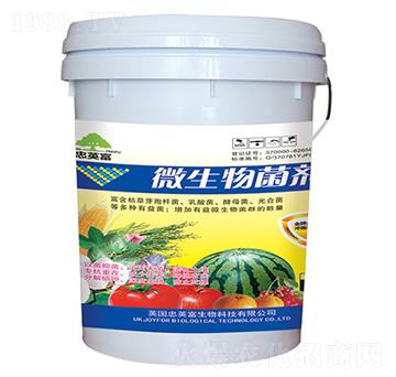 ΢�������-�|���S