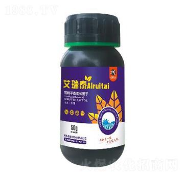 ����ƽ�����L����-����̩-�rϲ����
