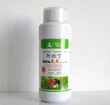 ���ь��þ��A��-������