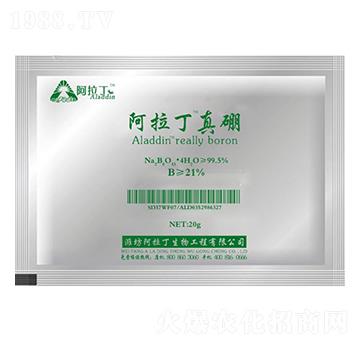 20g����������-����