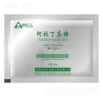 20g���������\-����