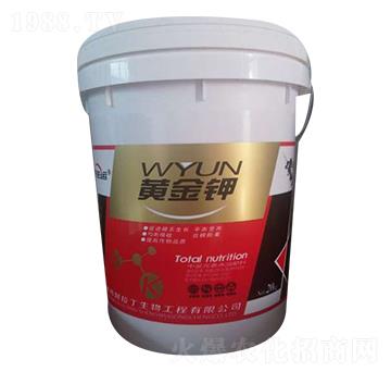 �S���-������