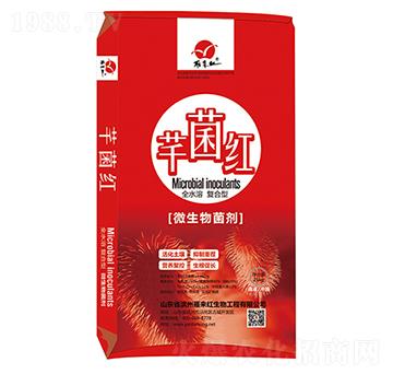 ΢�������-ܷ���t-����t