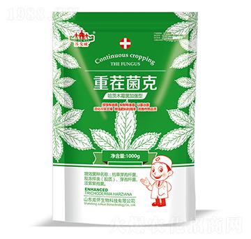 �ز����-ɽ�|�������