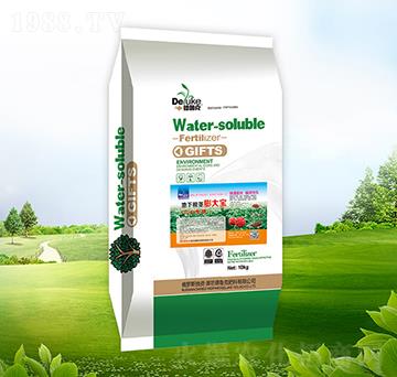 ���¸��o���-������