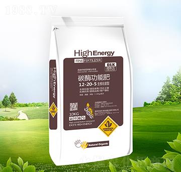 ����������̼ø���ܷ�12-20-5-������