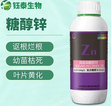 �ߝ�s�Ǵ��\-�̩����