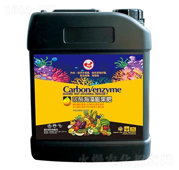 ̼ø���������-ɽ�|�������