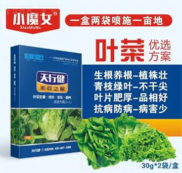 �~�˃�(y��u)�x����-СħŮ-���н�