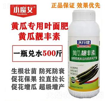 �S�ό�(zhu��n)���~���-�S���n�S��-СħŮ-���н�