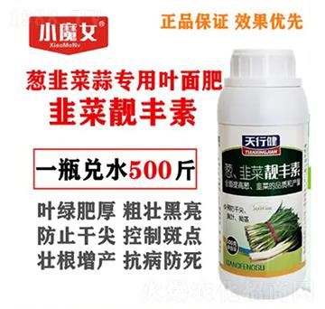 �[�²��⌣���~���-�²��n�S��-���н�