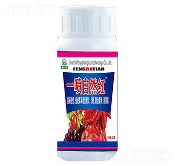 250��һ����Ȼ�t-������