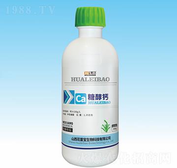 �Ǵ��}-���ٌ�����