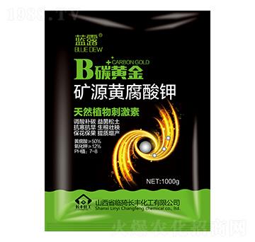 �VԴ�S�����-B̼�S��-�{(l��n)¶-�L�S����