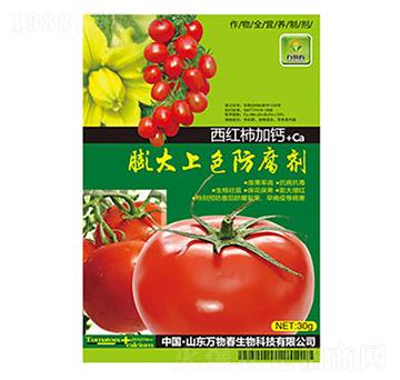 ���t�����}�����ɫ������-�f�ﴺ