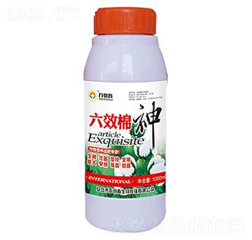 1000ml��Ч����-�f�ﴺ