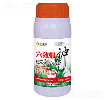 ��Ч����-�f�ﴺ