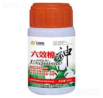 60ml��Ч����-�f�ﴺ