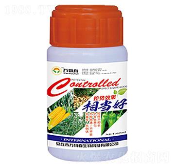 �؄�Ч���ஔ(d��ng)��-�f�ﴺ