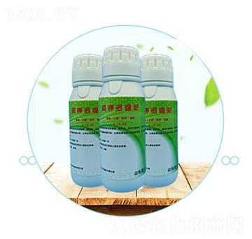 ��⛶�S��-��������