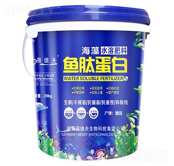 �~(y��)�ĵ���-�����S