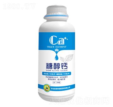 �Ǵ��}-�W����