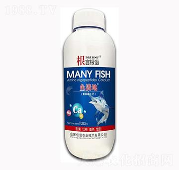 ���������}-���Ը��Z-�����r(n��ng)�I(y��)