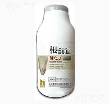 ��֮��-���Ը��Z(y��)-�����r(n��ng)�I(y��)