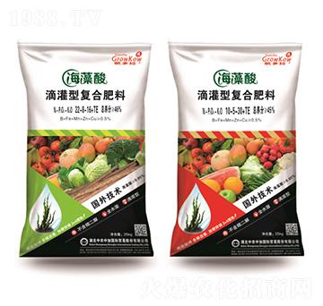 ������ι��͏�(f��)�Ϸ�-�P���m-���r(n��ng)�м�