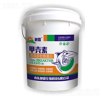 ��������~(y��)����-�ך���-�������