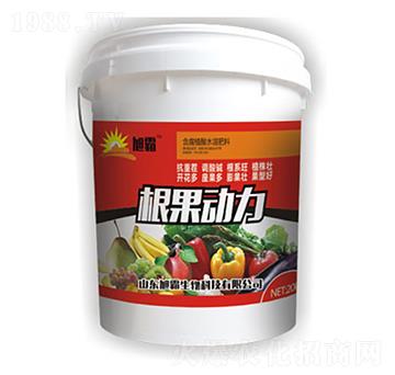 ��������-�������