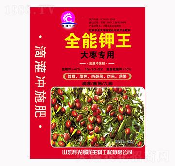 �󗗌���ȫ�����-��������