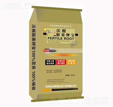 �ָ����⛌�-��������